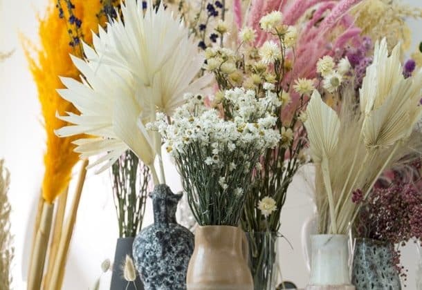 Comment sécher les fleurs?